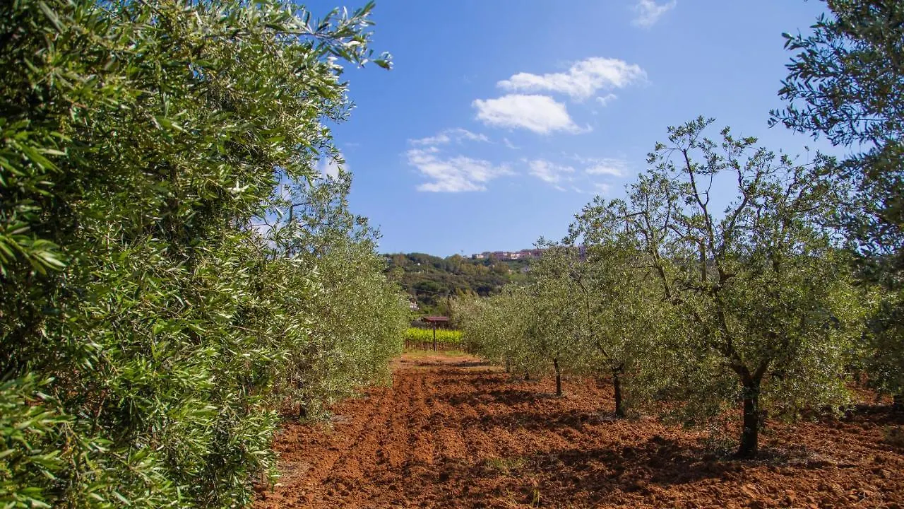 Country Hotel Residence Da Pilade Capoliveri
